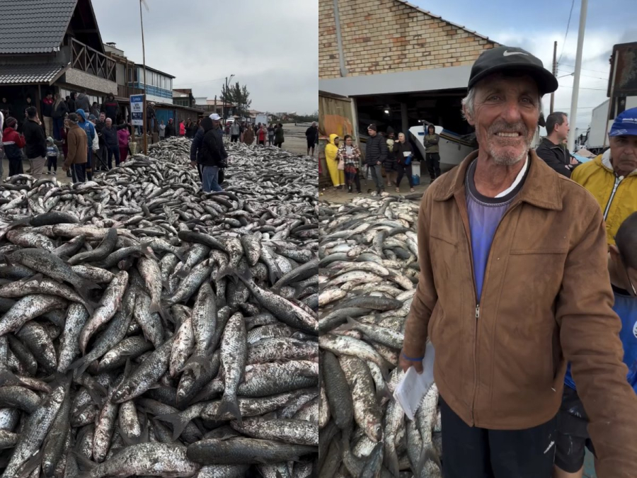 “Um mar de peixe”: mega lanço de tainha impressiona pescadores em Imbituba